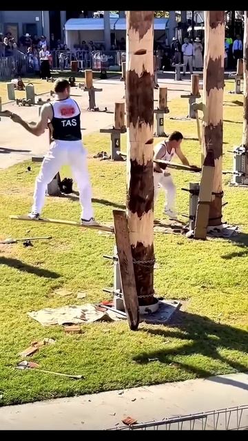 Рубка деревьев на скорость
