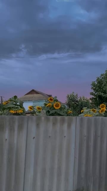 Деревня, лето, отдых