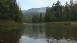 Ильяс Киньяғолов - Нөгөш буйҡайҙары