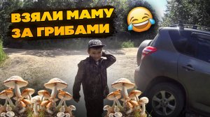 Взяли маму за грибами