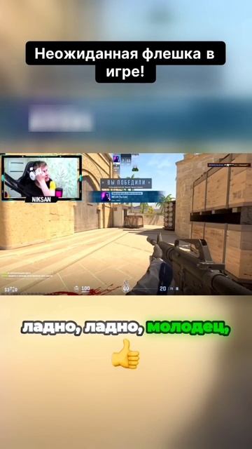 Неожиданная флешка в игре! #кс2 #кс #cs2 #cs #niksan #никсан смотреть онлайн