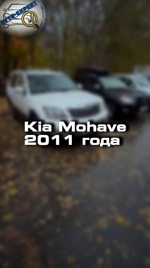 Проверили для клиента Kia Mohave