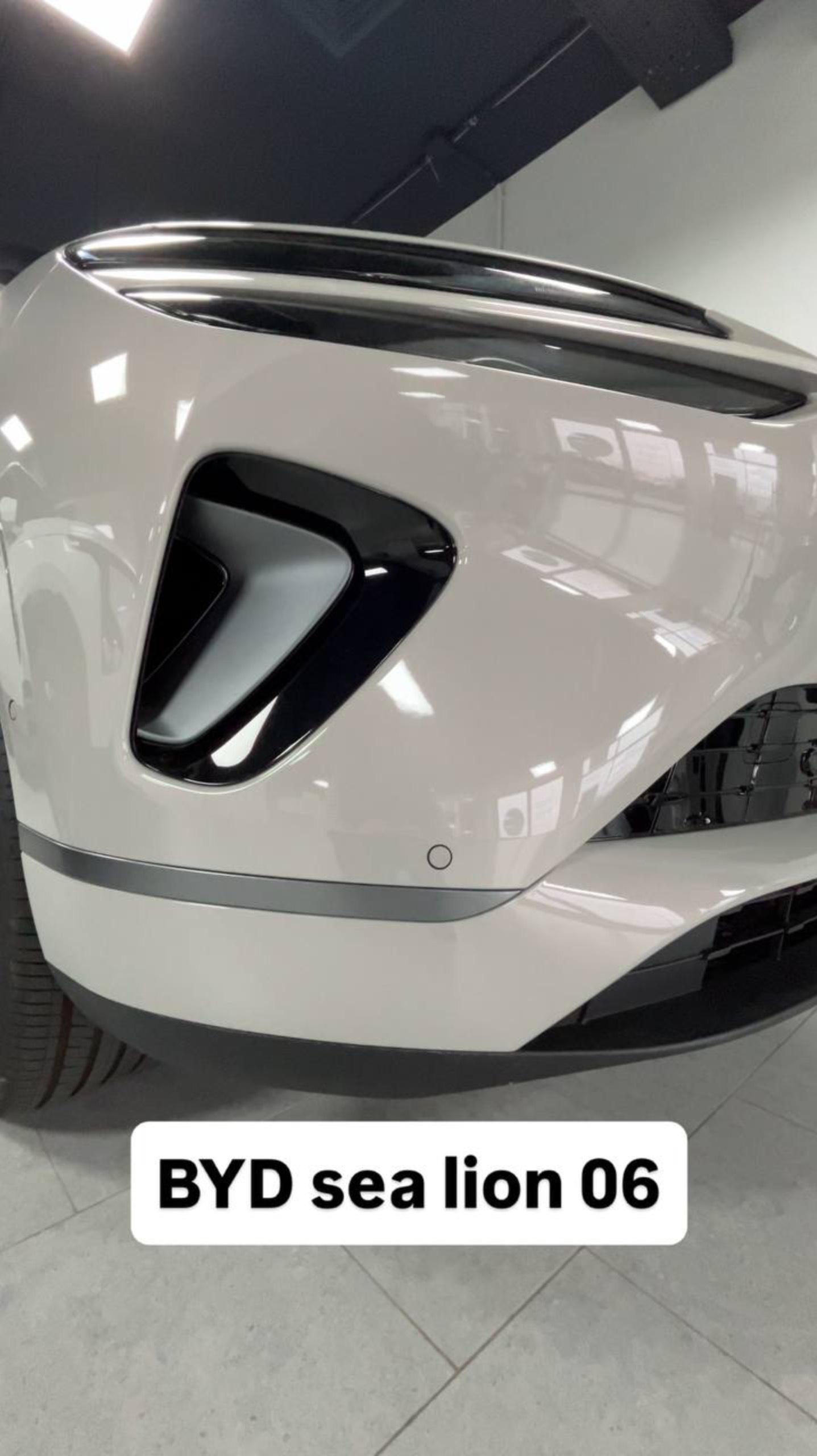 Сравнение BYD sea lion 06 vs Song plus. Часть 3 смотреть онлайн