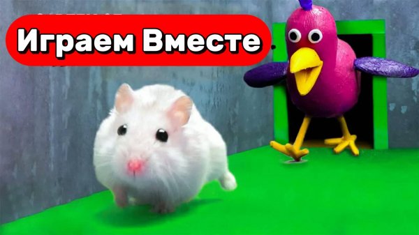 ТОП СТРАШНЫХ ЛАБИРИНТОВ С МОНСТРАМИ ДЛЯ УМНОГО ХОМЯКА 🐹 ВИДЕО ПРО ХОМЯКА ДЛЯ ДЕТЕЙ 🐹