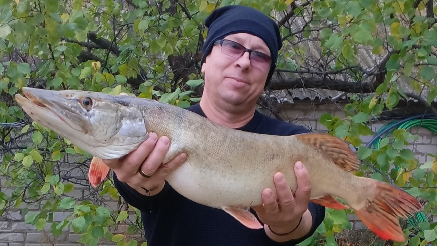 ЩУКА ТРОФЕЙНАЯ И ТРИ КАРАСЯ! )))