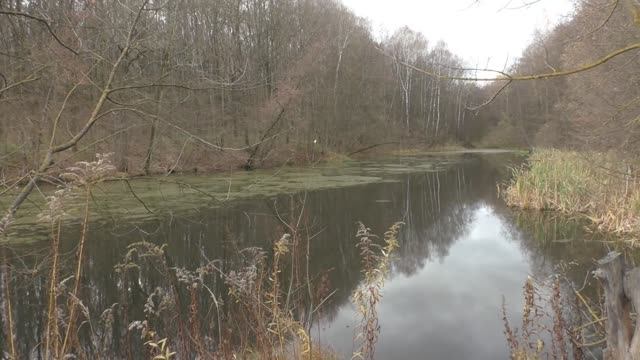 Прогулка по лесу в конце октября.