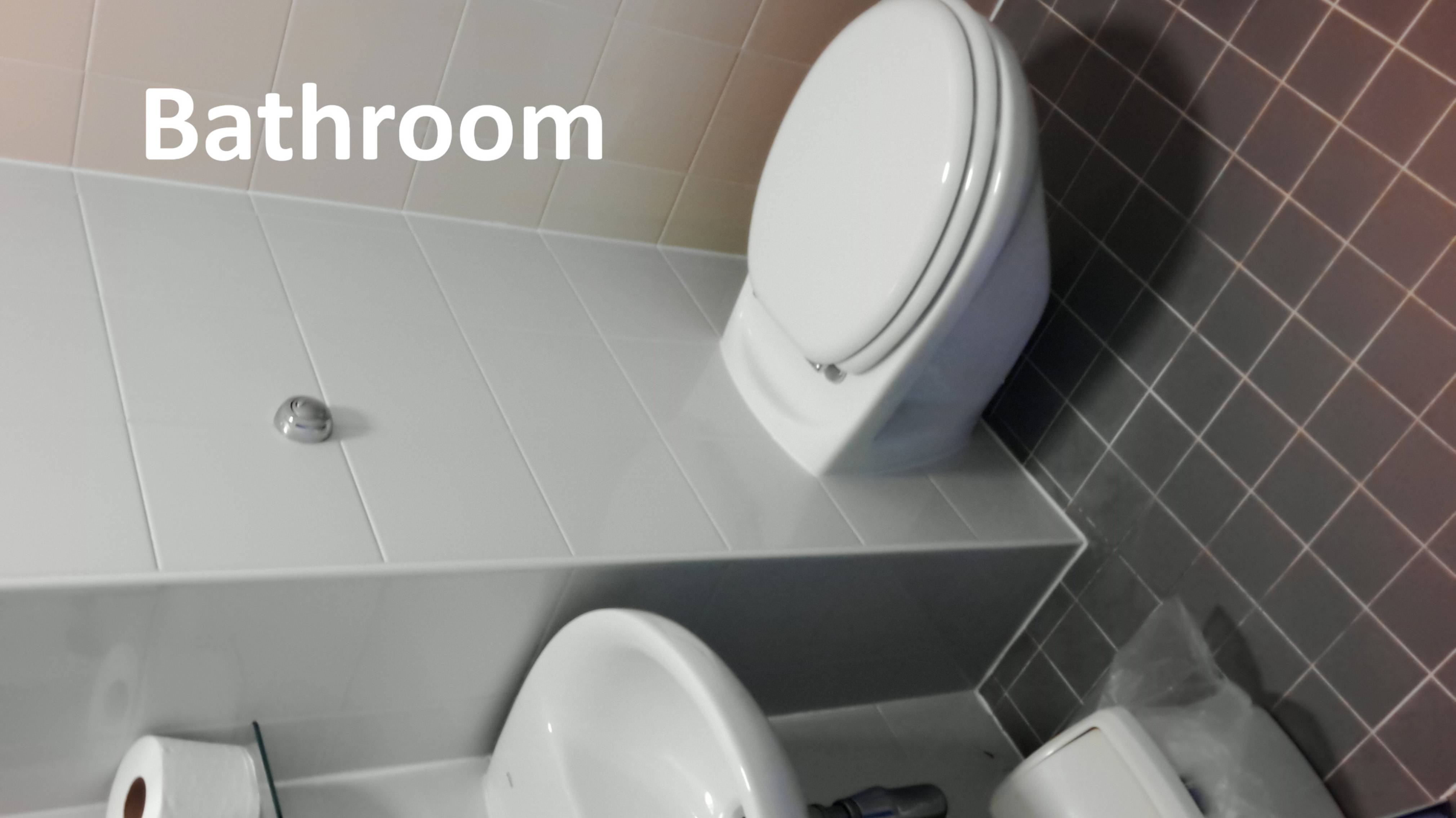 Bathroom Vocabulary!!!