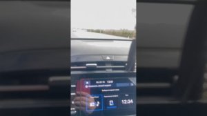 Дорога сокуры