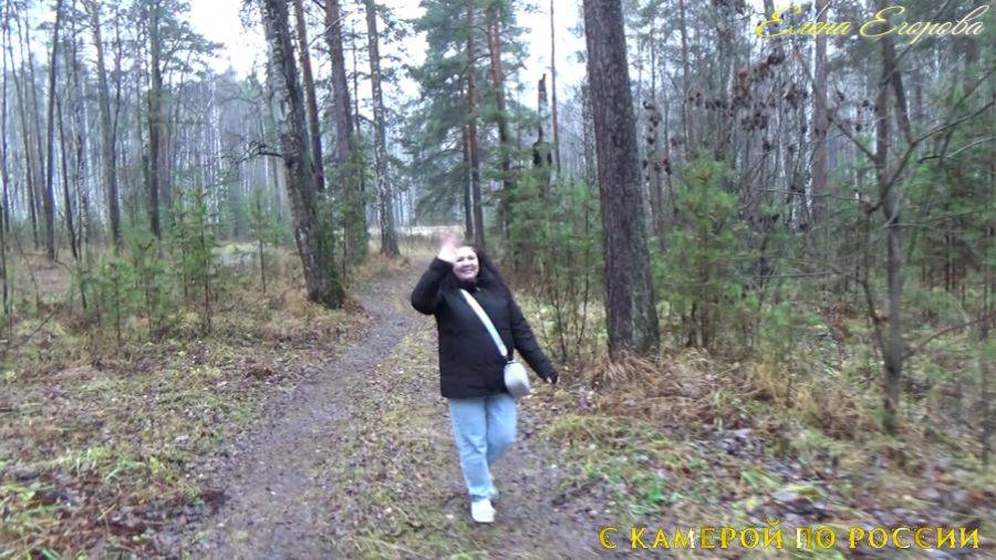 🍂РЕФТИНСКИЙ. 🍂ПРОГУЛКА ПО ОКТЯБРЬСКОМУ ЛЕСУ. 30 ОКТЯБРЯ. смотреть онлайн