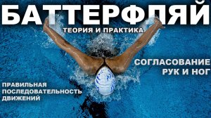 КАК НАУЧИТЬСЯ ПЛАВАТЬ БАТТЕРФЛЯЕМ | Плавание баттерфляем с нуля