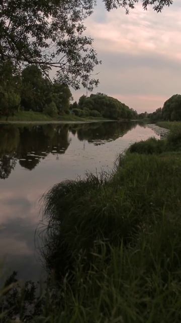 Природа. Звуки природы