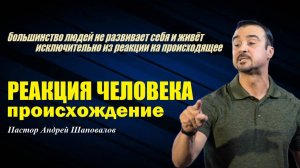 Многие живут, исходя из реакции на происходящее. Реакция человека. Происхождение. Пастор А.Шаповалов