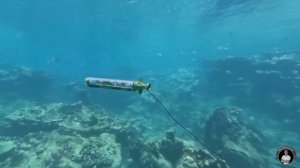 Радиоуправляемая подводная лодка ESP32 с камерой FPV [Видео к статье]