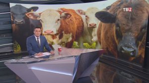 Тигр? Неизвестный хищник держит в страхе жителей села в Приморье / События на ТВЦ