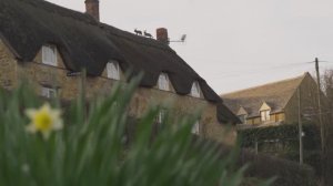 Сельская деревня в Великобритании в цвету. Весна пробуждает деревни Котсуолдса полевыми цветами