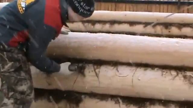 Видеорепортаж. Как мы заготавливаем и строим дом из бревна.