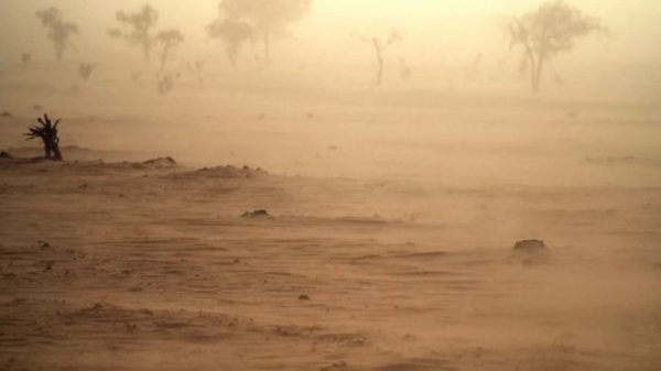 EXPEDITION NIGER REAL AFRICA