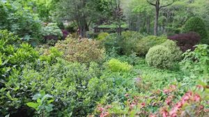 САДЫ США. ОЧЕНЬ КРАСИВЫЙ ЧАСТНЫЙ САД. ШТАТ ДЖОРДЖИЯ