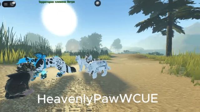 С ПОДПИСЧИКАМИ (старое видео)