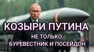 КОЗЫРИ ПУТИНА НЕ ТОЛЬКО БУРЕВЕСТНИК И ПОСЕЙДОН. ТАМИР ШЕЙХ / СЕРГЕЙ ЕГОРИН. новости сводки
