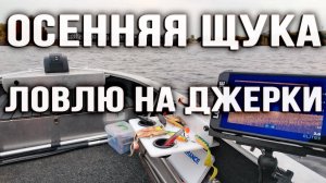 Осень Щука Джерки
