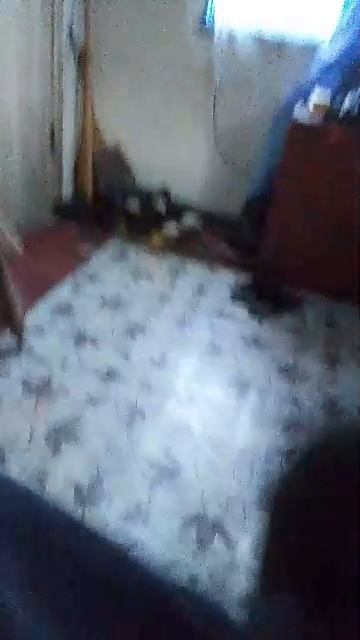 идём искать робота Васю первая трансляция смотреть онлайн