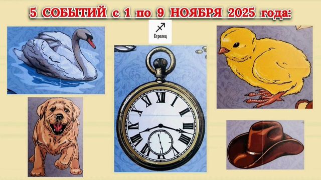 СТРЕЛЕЦ: "5 СОБЫТИЙ с 1 по 9 НОЯБРЯ 2025 года"!!! смотреть онлайн