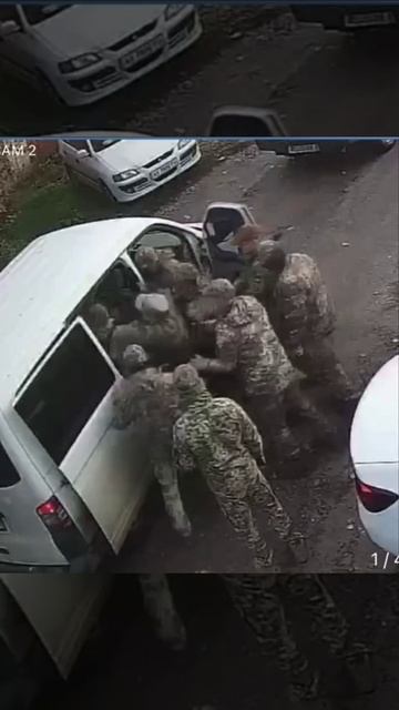свиньи упаковали овцу и....собаку(ТЦК) смотреть онлайн
