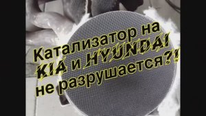 Катализаторы Kia и Hyundai не разрушаются!