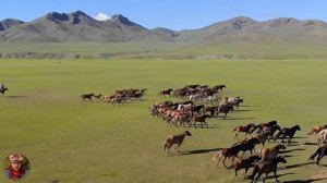 М.П. Бобин Цыганская баллада