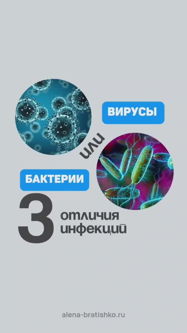 3 отличия вирусной и бактериальной инфекций. Алена Братишко смотреть онлайн