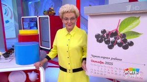 Черноплодка - ешьте сейчас. Жить здорово! Фрагмент выпуска от 30.10.2025
