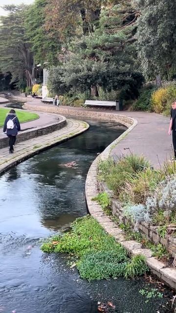 😂Я смогу! смотреть онлайн