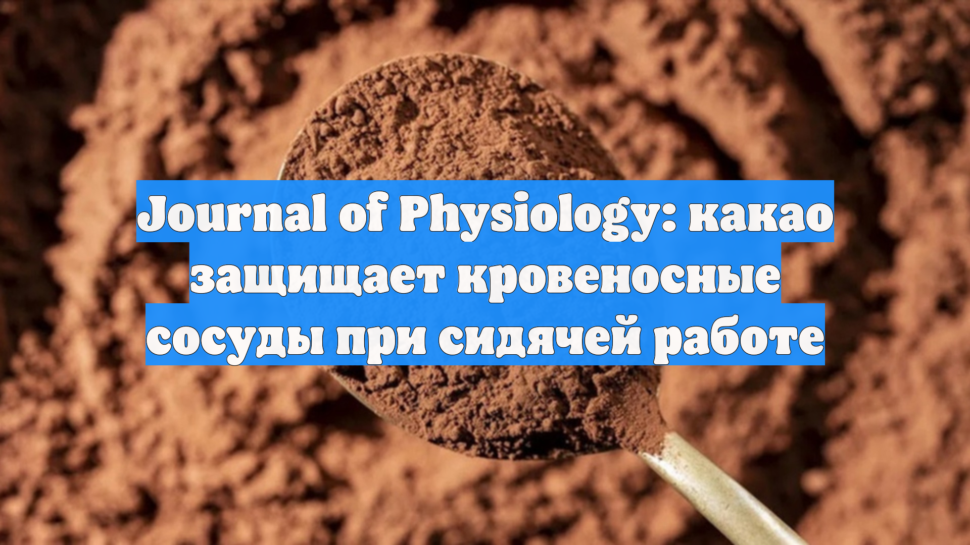 Journal Of Physiology: какао защищает кровеносные сосуды при сидячей работе