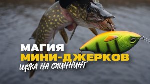 Щука на Спиннинг Осенью Недо Джерки Lucky John Arrow Jerk 100F и Вертушки Lucky John Shelt Blade 04