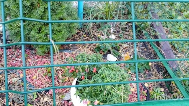 30 октября. Прогулка в Славянском районе. гКраснодар. смотреть онлайн