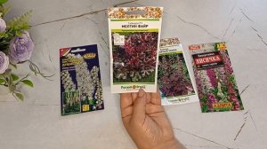 Любимые многолетники выращиваю из семян.