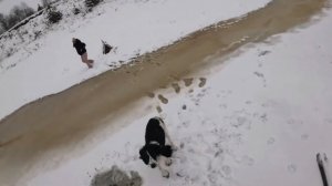 Шок! Тонкий лед треснул. Зимняя рыбалка на севере.