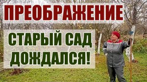 49. ПРЕОБРАЖЕНИЕ СТАРОГО САДА! НАВОДИМ ПОРЯДОК НА УЧАСТКЕ.