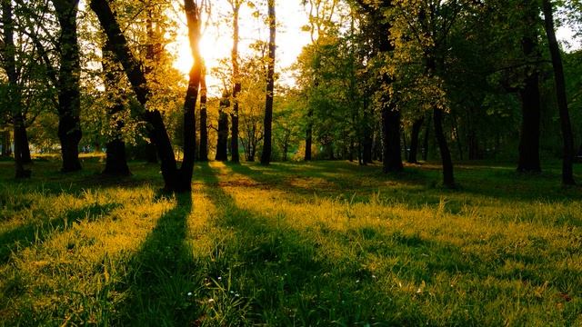 Digital Nature - Landmarks (Activa Remix) смотреть онлайн