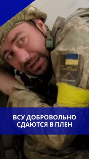 Боевики ВСУ выбрали жизнь и добровольно сдались в плен в Купянске