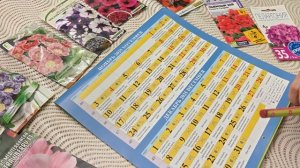 Лунный посевной календарь огородника на Ноябрь 2025. Благоприятные дни, лучшее время для посадок!