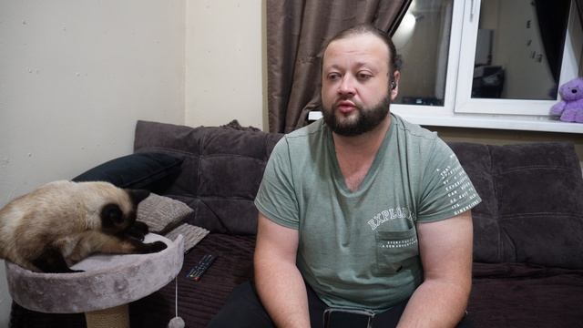 Про нашу нелегкую жизнь ПОДВАЛ ИЛЬИЧА читаю комментарии зрителей в доме для кошек смотреть онлайн