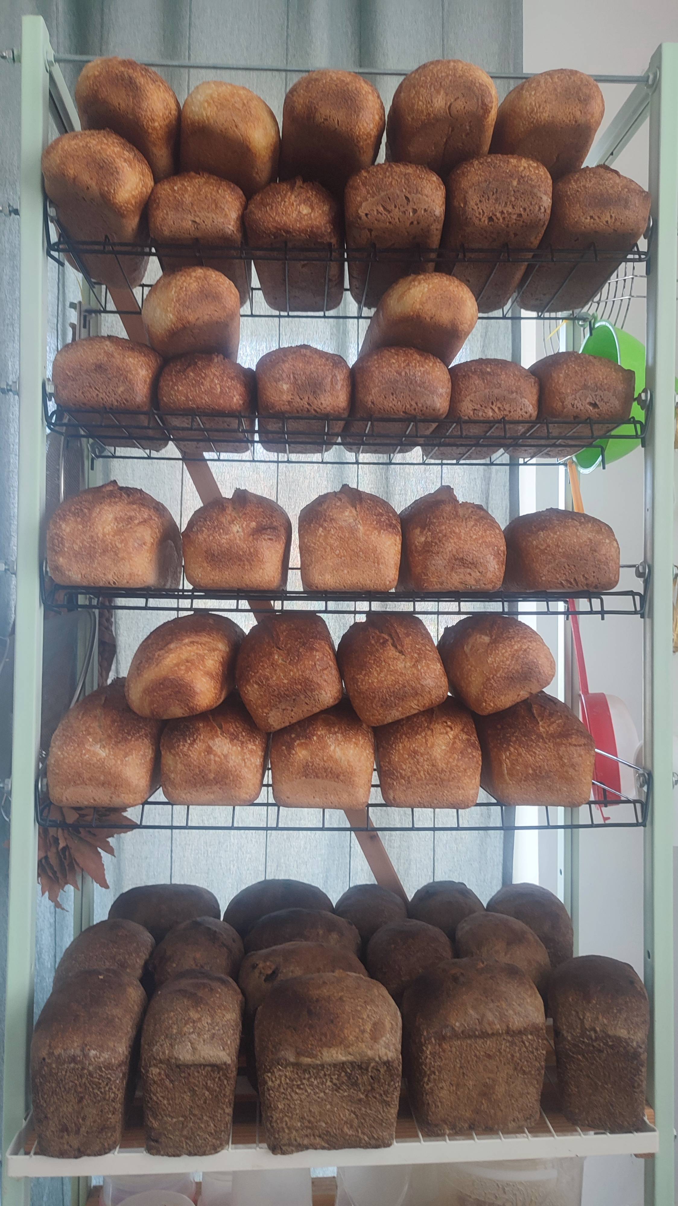 Печем хлеб дома #хлеб на закваске