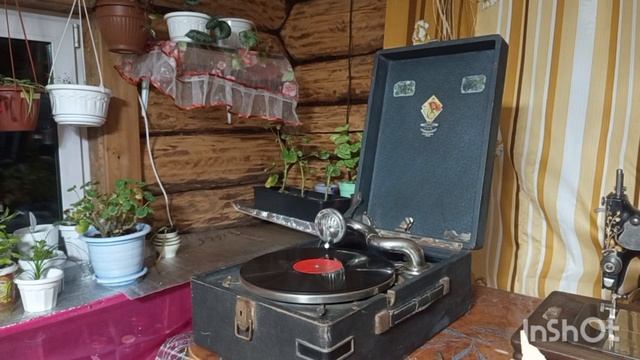 30-10-2025.Проверяю семена томатов на всхожесть.Слушаю потифон. смотреть онлайн