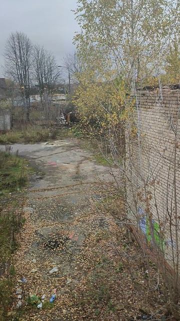 Заброшка за Клязьмой в Щёлково.