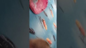 VID_20251030_193255.mp4