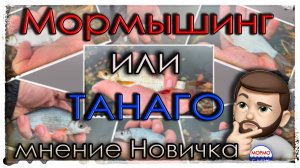 Мормышинг или Танаго. Мнение новичка.