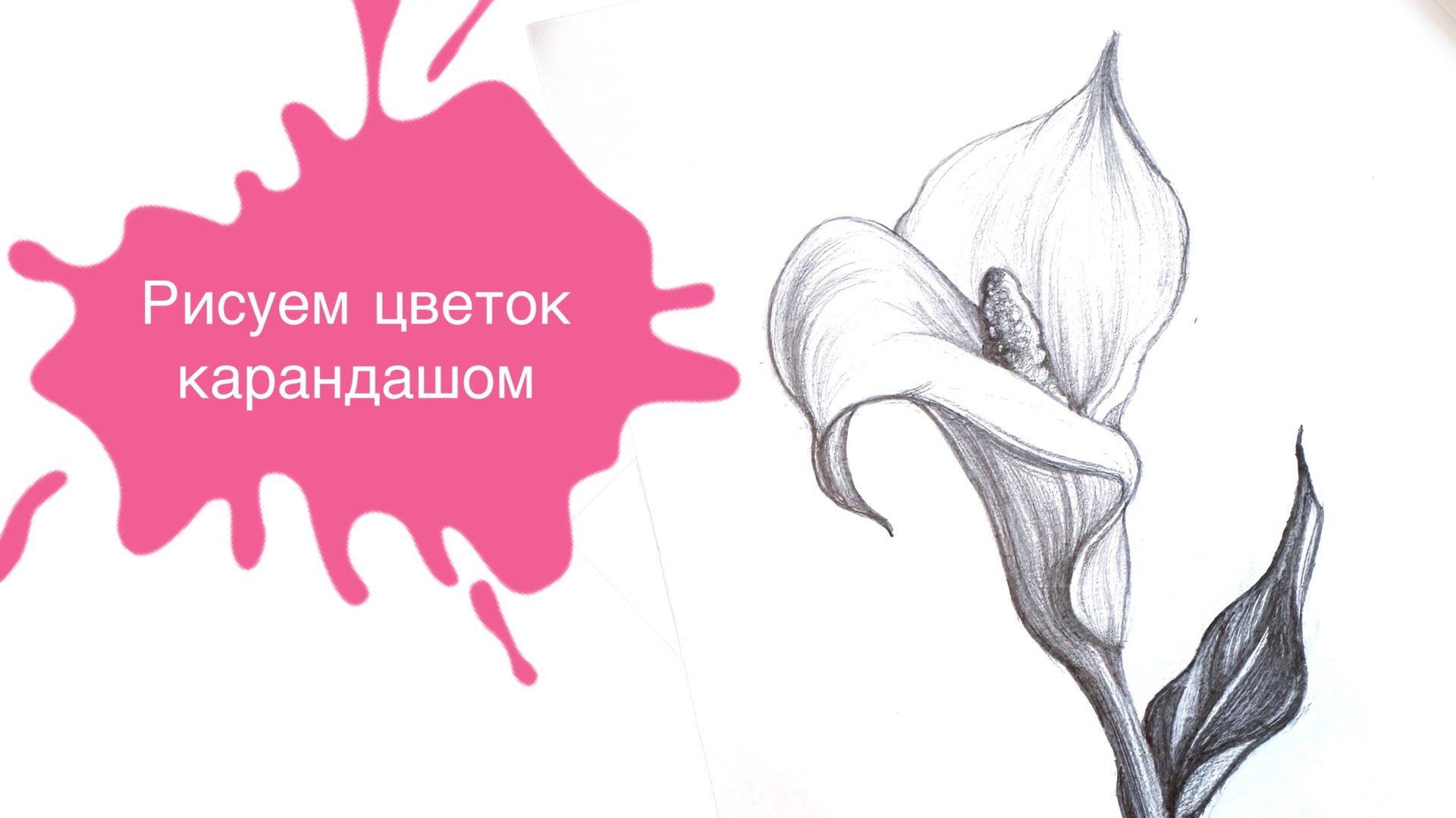 Рисуем Цветок Каллы с Марией Орловой Простым Карандашом! Урок для начинающих 🌷