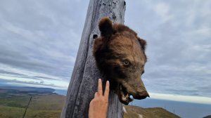 #Аукан_Нерпичий_Сюркум_на_Машине